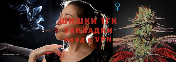MDMA Новозыбков