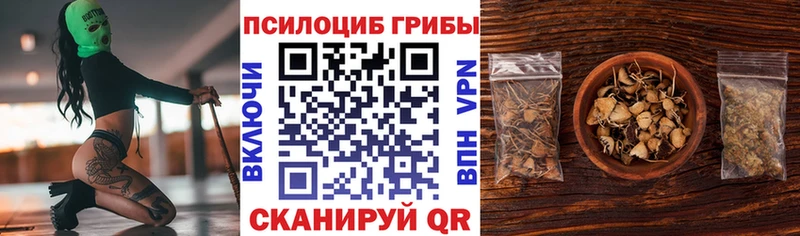 сколько стоит  Кувшиново  мега ONION  Галлюциногенные грибы мицелий 