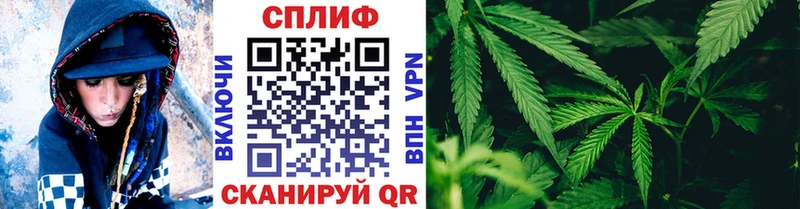 Конопля MAZAR  Кувшиново 